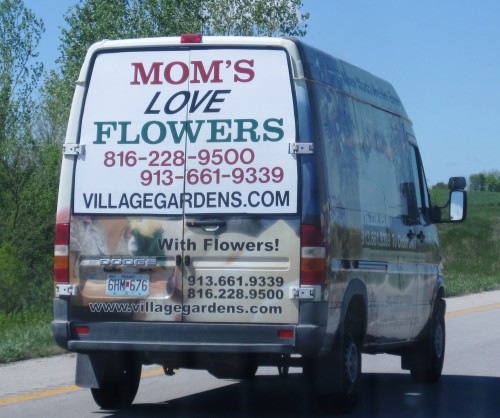 Mom's Love Flowers.JPG (641 KB)